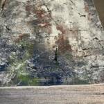 Contemporary Multi-Color Abstract Rug