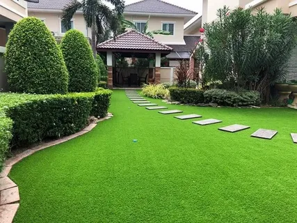 Artificial Grass